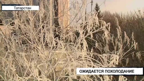 Вызов 112 15.01.2026