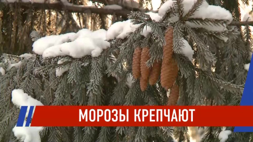 Новости Татарстана - выпуск 24.01.2026