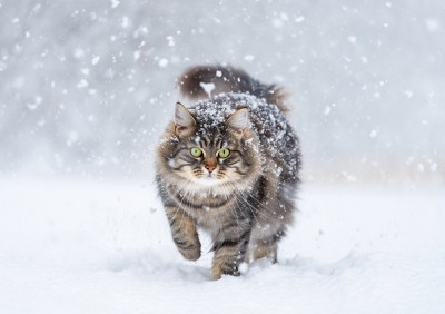 Новая порция снежного апокалипсиса обрушится на Татарстан в последнюю пятницу января