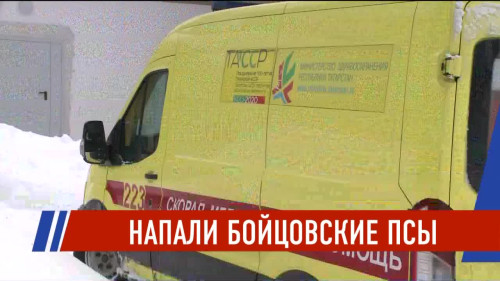 Новости Татарстана - выпуск 10.02.2026