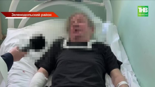 Повторное нападение: в Зеленодольском районе бойцовские собаки вновь атаковали жителей