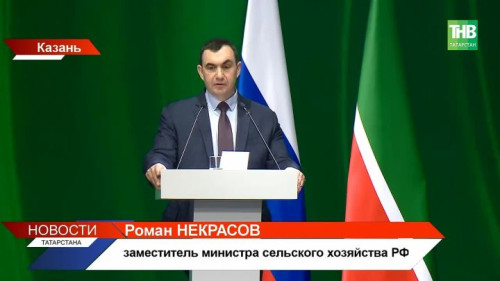 Молоко дешевеет, долги растут: что ждет аграриев Татарстана?