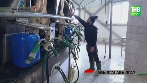 Авыл кадрлары кими: аларны калдыру өчен нинди программалар эшли?