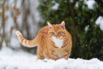 Температурные качели от -24 до -4 градусов ожидаются в Татарстане 23 февраля