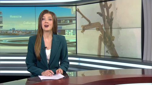 Новости Татарстана - выпуск 25.02.2026