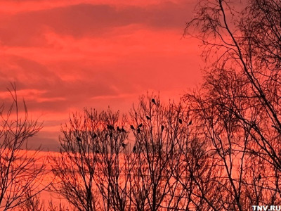 Раннее половодье или тихое таяние: профессор КФУ — о непредсказуемой весне в Татарстане