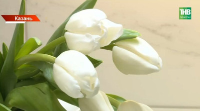 8 Марта без сюрпризов: как не купить зараженные цветы, рассказали татарстанцам