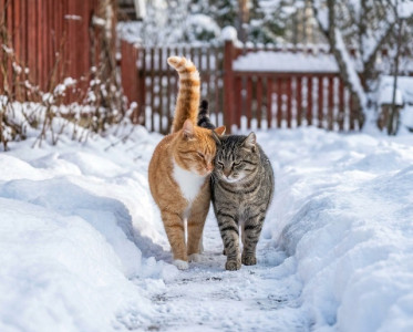 22-градусные перепады температур ожидаются в Татарстане в начале выходных