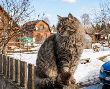 В преддверии Ураза-байрама в Татарстане потеплеет до +12 градусов