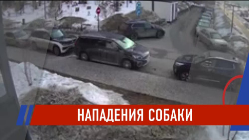 Новости Татарстана - выпуск 23.03.2026