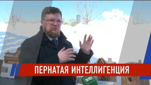 Новости Татарстана - выпуск 24.03.2026