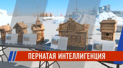 В Казани построили «элитное жильё» для птиц — с историей и архитектурой