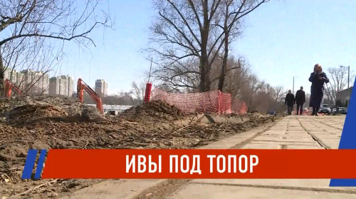 Вырубка ив на озере Кабан: власти объяснили причины и планы благоустройства