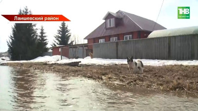 «Астраханская Венеция»: деревню в Татарстане топит так, что дети не могут дойти до школы