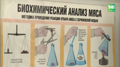 «Бирка нарисована маркером»: в Татарстане ищут владельца телят, выброшенных в овраг