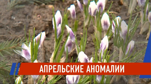 Казань под снегом и градом: апрель вернул зиму с рекордным разбросом температур