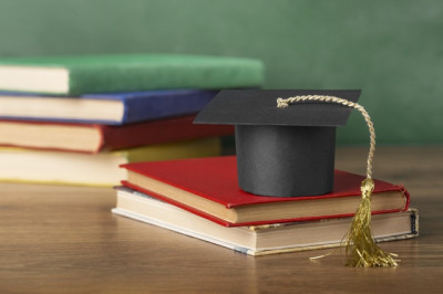 «Раньше такого не было»: в российских вузах появится новая специальность