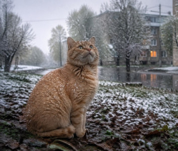 Мокрый снег и похолодание до -3 градусов ожидаются в Татарстане