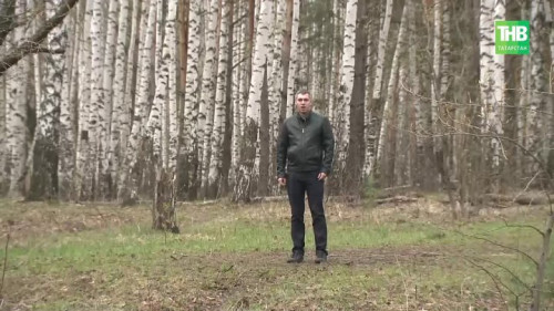 126 тысяч голосов уже отдано: какой парк преобразится в 2027 году?