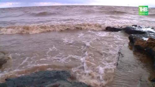 Ураган в Татарстане: 42 поваленных дерева, 18 разбитых авто и пострадавшая в Менделеевске