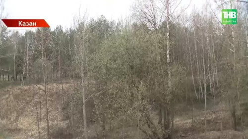 Киләсе елда кайсы парклар төзекләндереләчәк: татарстанлылар тавыш бирә