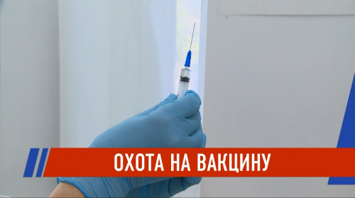 Дефицит вакцины от клещевого энцефалита: в Татарстане прививки только для групп риска