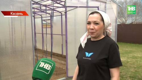 Жительница Казани вырастила огурец длиной почти метр и установила рекорд России