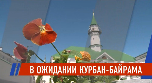 «Встречаем священный праздник»: в Казани начали готовиться к Курбан-байраму