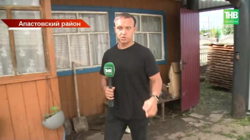 61 мм осадков и ветер до 24 м/с: последствия непогоды в Татарстане