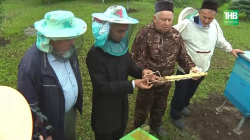 Казан үзәгендә — зур умарталык: мәдрәсә шәкертләрен бал кортлары карарга өйрәтәләр