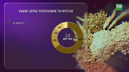 Урожай собрали, а продать не могут