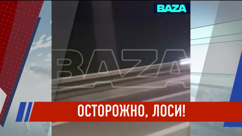 Новости Татарстана - выпуск 01.10.2026