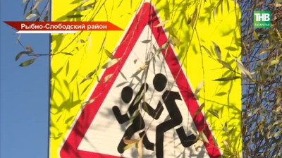 В Татарстане дочь погибшего бойца СВО вынуждена идти 1,5 км от остановки через собак