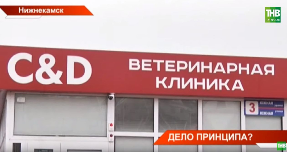 Управление ветеринарии Кабмина РТ: собаку в ветклинике должны были принять и без документов