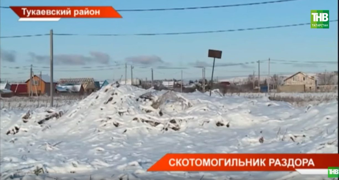 В одном из садовых товариществ Татарстана нашли признаки скотомогильника сибирской язвы (ВИДЕО)