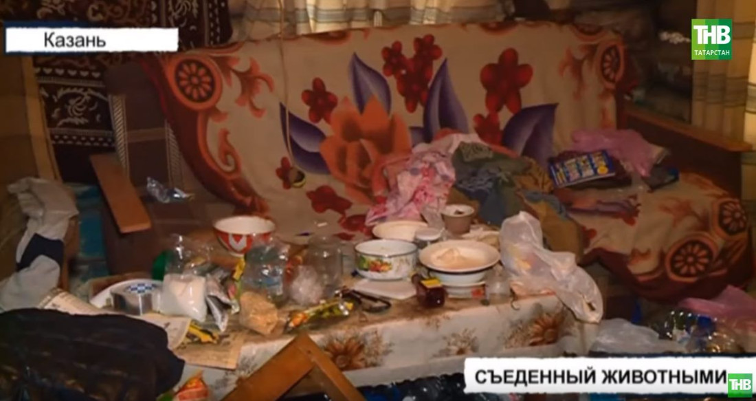 В частном доме Казани нашли труп обглоданный собаками и крысами (ВИДЕО)