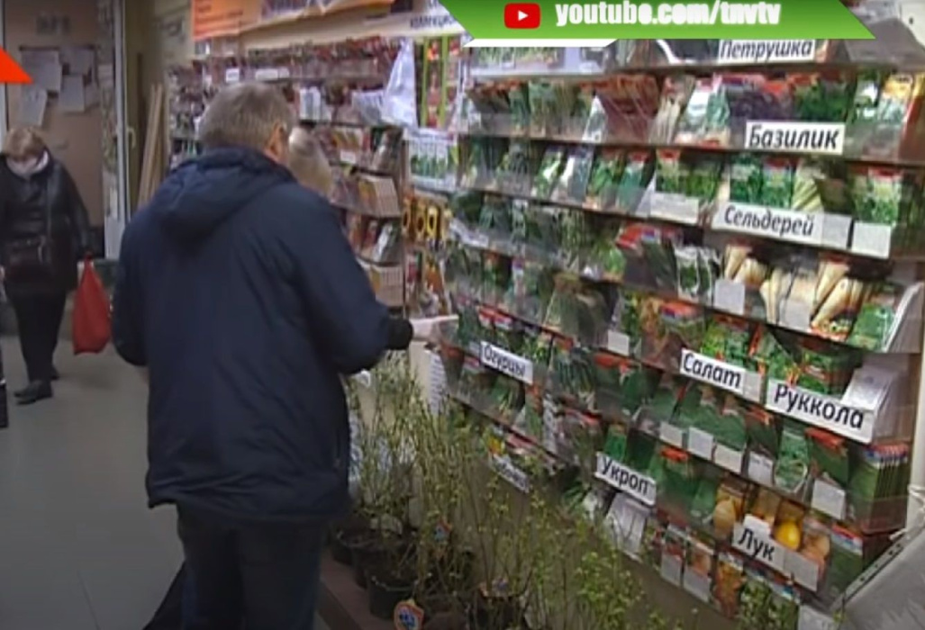 Дача в карантин: в Казани ажиотаж на семенной материал 