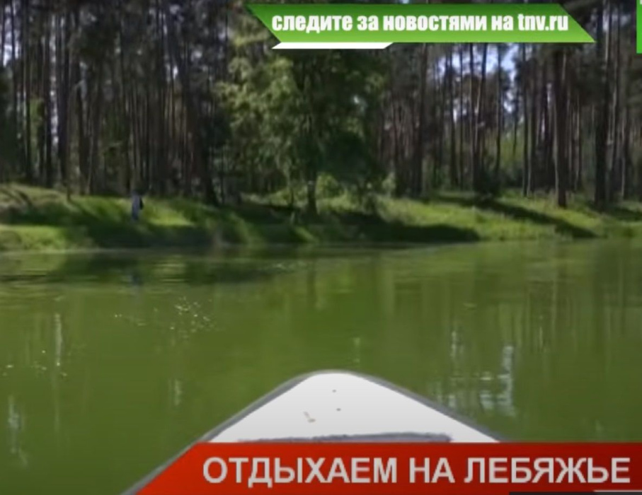 «Лебяжье 2.0»: казанцы оценили пространства обновленного лесопарка