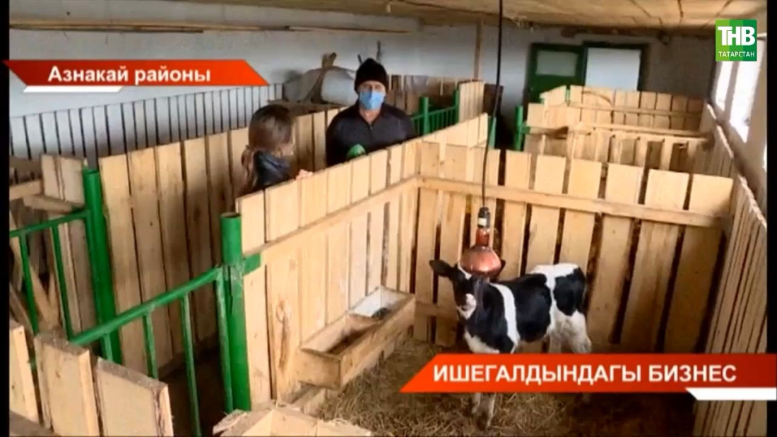 Ишегалдында бизнес