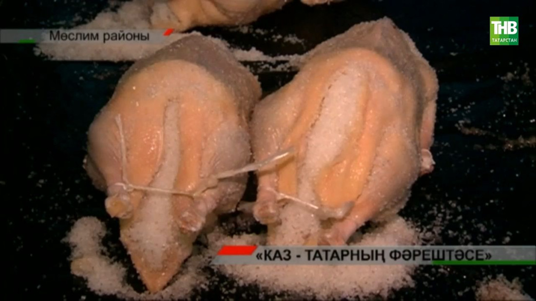 Каз - татарның фәрештәсе!