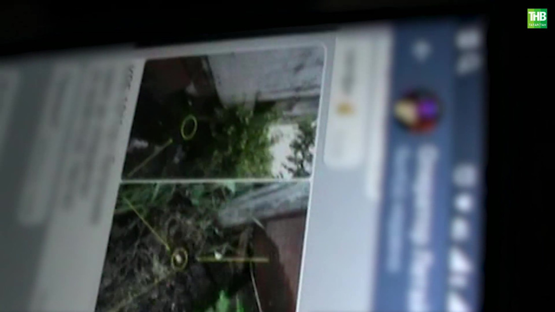 В Татарстане раскрыли дело преступной группы наркокурьеров