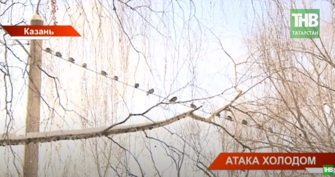 Мороз атакует Казань: пострадали детсады, школы, трамваи и троллейбусы - видео
