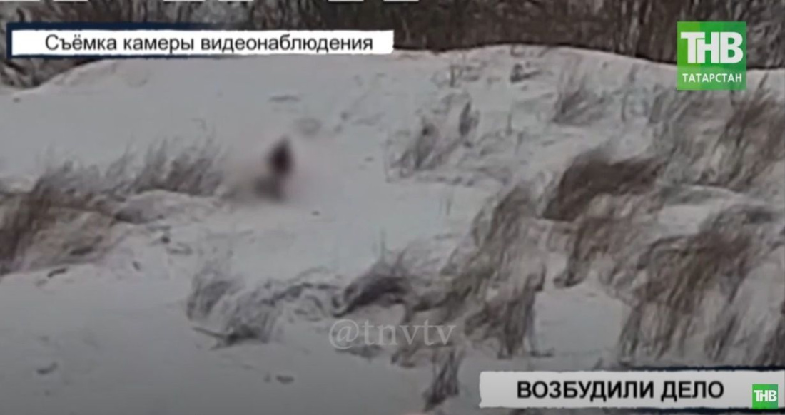 В Нижнекамске арестовали подростка, пытавшегося изнасиловать 7-летнюю девочку