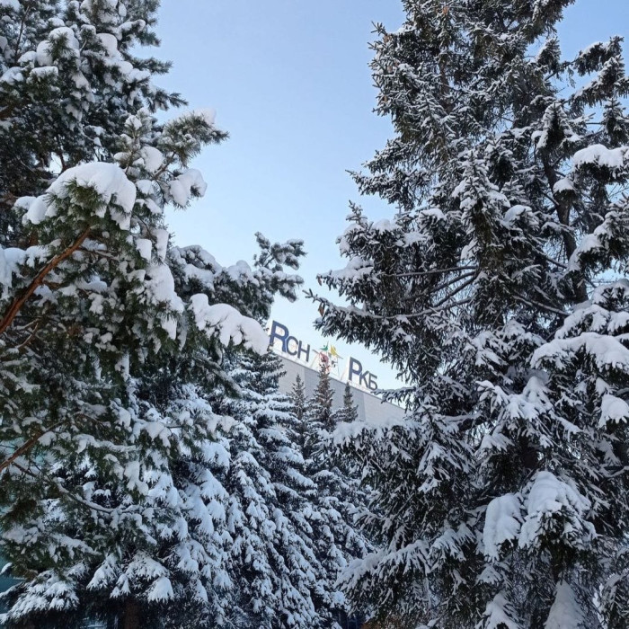 Нетрезвый казанец угрожал медикам РКБ и ударил медбрата