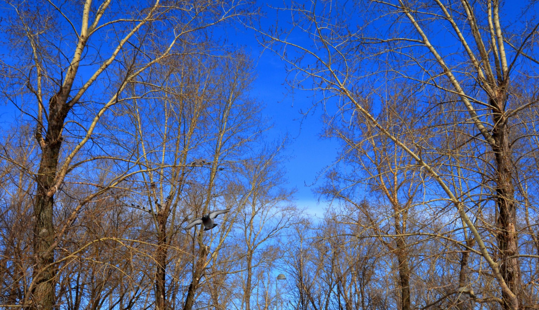 В предстоящие сутки воздух в Татарстане прогреется до +8 градусов