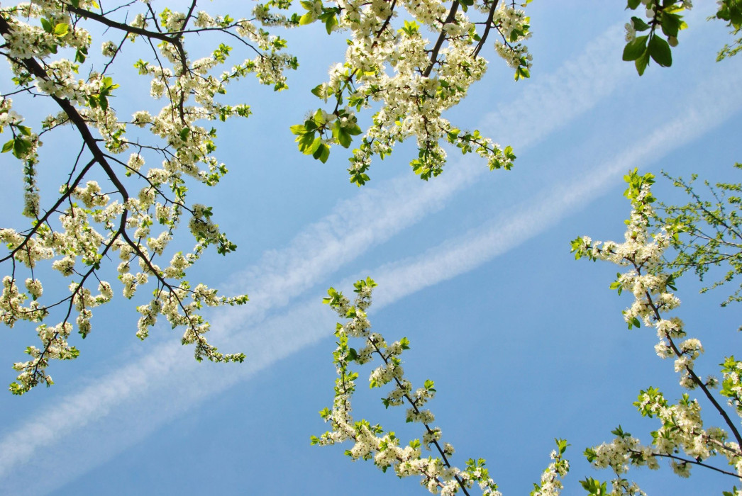 В День Победы в Татарстане столбики термометров взлетят к отметке +25