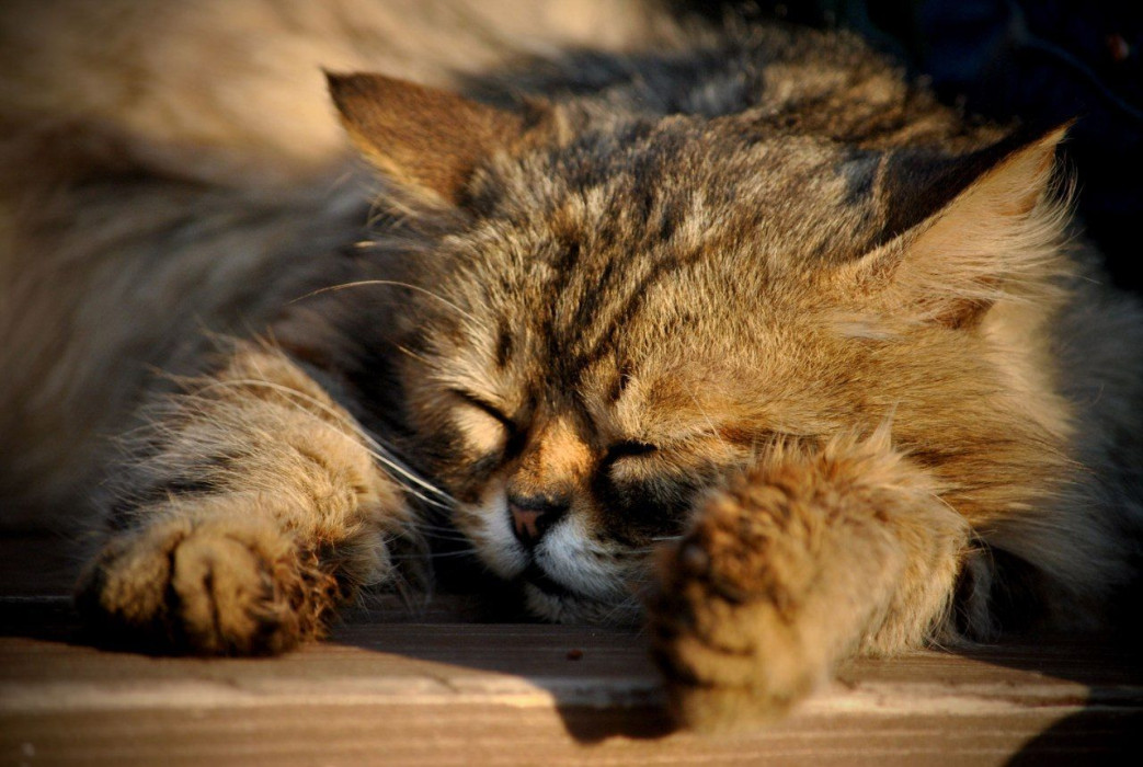 Будет жарко: 10 мая в Татарстане потеплеет до +28 градусов