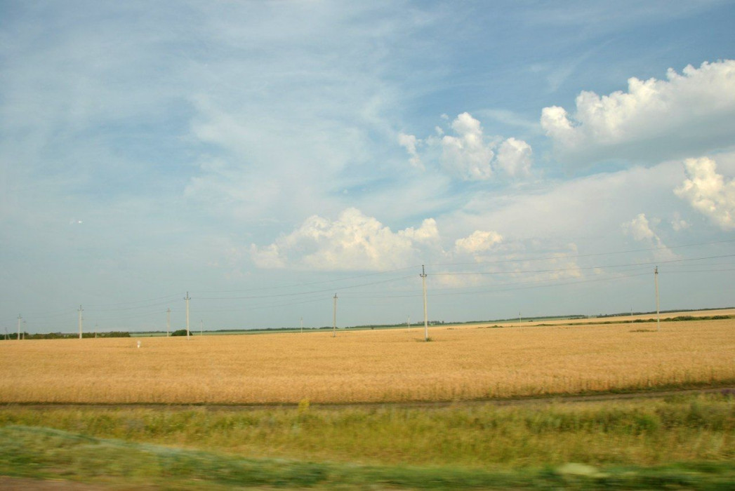 Аграрии Татарстана получили 3,5 млрд рублей субсидий на весенне-полевые работы