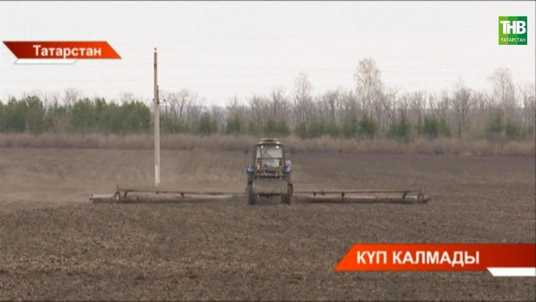 Республикада язгы кыр эшләре