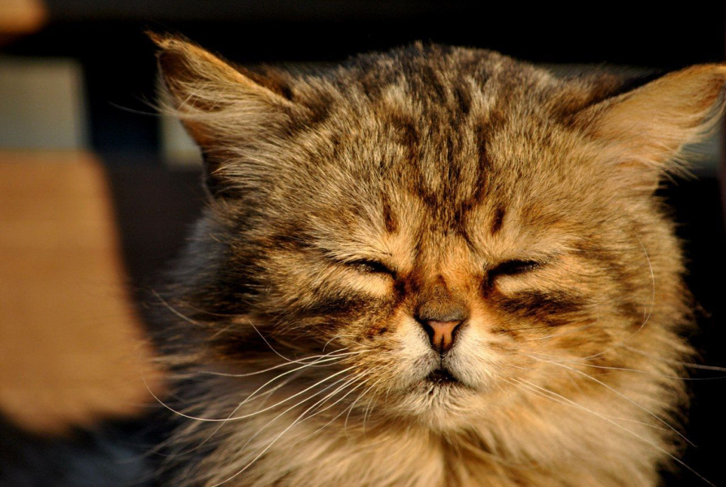 Аномально жарко: 15 мая в Татарстане воздух прогреется до +33 градусов